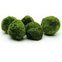 3-4 cm Marimo samanų rutuliukai Gyvas akvariumo augalas Dumbliai Žuvų krevečių rezervuaro ornamentas Imitacija Žali samanų rutuliukai Dirbtinis augalas onesize black
