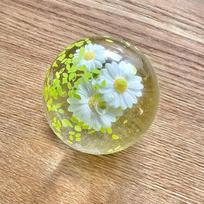 Peanut Apple Stress Ball Crunchy Squeeze Ball Squishy Toy Buttery-Soft Feel Fidget Toy Asmr Sensory Anti Stress Toys For Kids