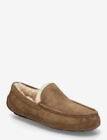 UGG - M Ascot - Šlepetės - Ruda