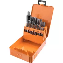 Sriegiklių rinkinys M3-M12, 22 vnt.