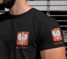 Lenkijos marškinėliai | marškinėliai su Lenkijos vėliava Dovana| Lenkijos tee | marškinėliai su Lenkijos pasididžiavimu | Lenkijos paveldo dovana vyrams 110 gray