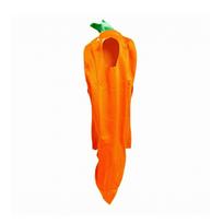 Roomy Carrot Outfit | , Costume, Funny, for Carnival, Stage Performances orange