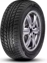 Žieminės padangos RoadX RX Frost WH01 205/45 R16 87 V XL (E C B 72dB)
