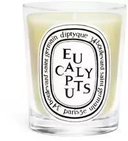 DIPTYQUE CANDELA EUCALYPTUS CANDLE 190 GR