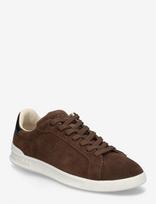 Polo Ralph Lauren - Suede-Hrt Crt Ii-Sk-Ltl - Žemakulniai sportbačiai - Ruda