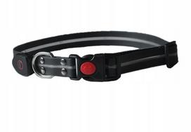 LED šuns antkaklis PetiGio, USB-C, šviečiantis, M dydis, 41-50 cm