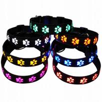 LED šviečiantis antkaklis katėms ir šunims, reguliuojamas, XS dydis (25–30 cm), įvairios spalvos