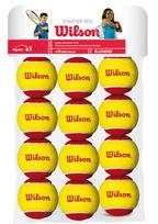 WILSON STARTER RED (12) teniso kamuoliukai