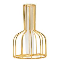 Metalinė gėlių vaza tuščiavidurė moderni elegantiška auksinė atskiro dizaino skaidraus stiklo gėlių vaza ornamentas beige