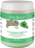 Iv San Bernard Fruit Of The Groomers Mint Mask 1000 ml | NMASME1000