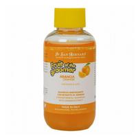 Iv San Bernard Fruit Of The Groomers Orange Shampoo 100 ml | NSHAAR100 | 8022767058492
