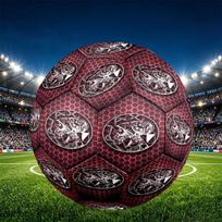 Ajax Print Size 5 Soccer Ball, PU Wear Resistant Football for Match Training and Daily Practice, Birthday Gift for Soccer Fans Size 5