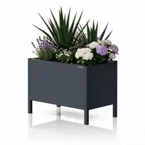 Jan Nowak Metalinis mažas juodas gėlių vazonėlio gaubtas, 400x350x250 mm: DAISY (5907367511505)