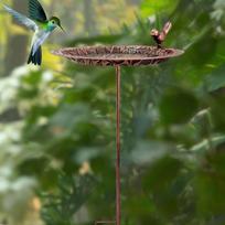 Outdoor Bird Bath Design Feeder Easy to Install Stable Gift Birdfeeder Bowl with Stake for Lawn gray