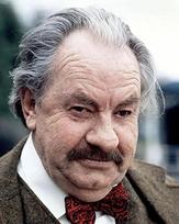 Rumpole Of The Bailey Leo Mckern 24X36 POSTER gray