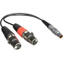 Atomos kabelis XLR Breakout Cable (input only)