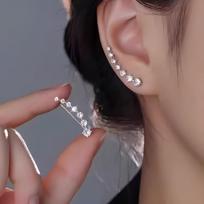 Niche-style Elegant High-end Earrings, New Hot-selling Item, Light Luxury, Internet-famous Style black