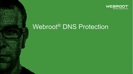Kompiuterio programinės įrangos licencija Webroot DNS Protection with GSM Console, 10–99 naudotojams, 2 metai