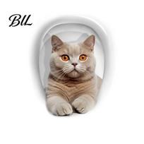 Self Adhesive Restroom Stickers 3D Cartoon Cat Toilet Stickers, Waterproof Cute Animal Lid Creative Seat Art Sticker, Fun Self-Adhesive Bathroom Wall C gray