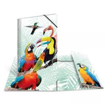 Mape dokumentiem HERMA Tropical Clique A3