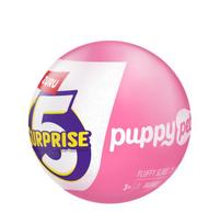 Žaislinis mini šuniukų figūrėlių rinkinys 5 Surprise Puppy Pet Shop Series 1 77811GQ2
