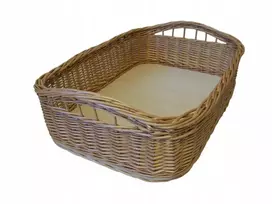 Didelis pintas padėklas