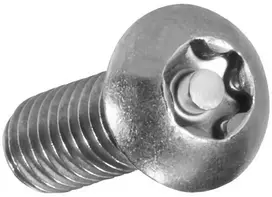 Nerūdijančio plieno varžtas M8x30 su Torx lizdu ir apsauga