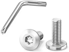 Dayalo varžtai su plokščia galvute, torx varžtai, m4 varžtai, nerūdijantis plienas a2 v2a, mašininiai varžtai, baldų varžtai su pilnu sriegiu ir torx raktu, m4 x 10 mm, 20 vnt.