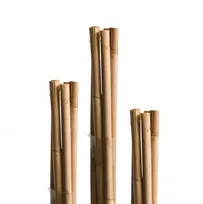 Esschert Design Bambukinės atramos augalams, 60 cm, 10 vnt.