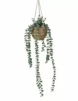 Boltze Dirbtinis kabantis augalas EUCALYPTUS, 78 cm