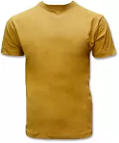 Vyriški medvilniniai marškinėliai Taikan Plain Tee, geltoni