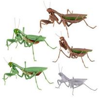 Bandai Originalūs Gashapon Žaislai Vapsva Straublys Manto Modelis Imitacinis Vabzdys Surinktas Veiksmo Figūrėlės Ornamentas Žaislai 8cm--15cm