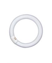 Ledvance 22W lempa LUMILUX T9 C, G10q, 2700K, 209mm