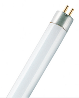 6W liuminescencinė T5 lempa BASIC, 21cm ilgio, 4000K