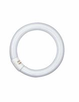 Ledvance 32W lempa LUMILUX T9 C, G10q, 2700K, 299mm