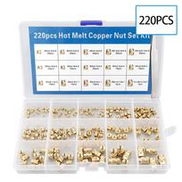 220 Copper Nut Box Set Double Diagonal Soil Eight Copper Nut Hot Melt Rolled Nut Set