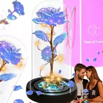 Amžina rožė stikle, šviečianti led flowerbox puokštė gėlės dovanai