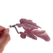 Betta lapo hamakas su siurbtuku Dirbtinis akvariumo augalas Miegojimo lovelė Betta žuvims Žuvų bakas Dekoratyvinis plaukiojantis augalas XK6 gray