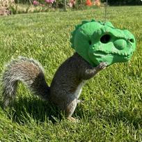 Dinosaur Head Squirrel Feeder Hollow Creature Hanging Compact for Gardeners, žalia