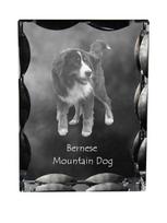 Bernese Mountain Dog, Berner Sennenhund-crystal with a picture of a dog, glass statuette with a picture,unique frame with a picture from Art-Dog brand