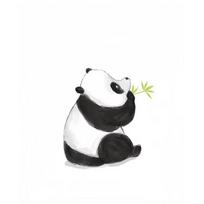 Cute Cartoon Animal Black White Colors Panda Posters Prints Canvas Printing Wall Art Picture for Living Room Home  Gifts 40X60CM No Framed