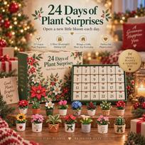 Hot-selling new portable model Days of Blooming Calendar Heaven Seed Calendar Blind Box 24Heaven Seed Calendar Bl