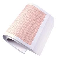 Green Wen Student Graph & Grid Paper white