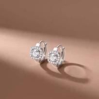 2024 Hot-Selling High-End Zirconia Stud Earrings with 925 Sterling Silver Needle for Ear Care