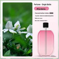 Smart Wall-Mounted Aroma Diffuser for Hotels & Homes gray