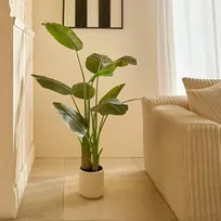 Atmosphera Dirbtinė bananų palmė LORA, 140 cm