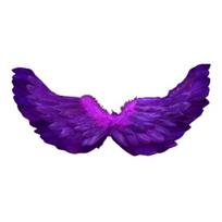 Angelo plunksnų sparnai su elastiniais dirželiais Ryškios spalvos lengvi kostiumai Cosplay Wings fotografijos rekvizitai