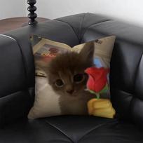 Juokinga Katė M-Meme Pagalvės užvalkalas Emoji Spausdinimo Pagalvės dėklas Abstraktaus Dizaino Namų Dekoras Svetainei Sofai Miegamajam Peach skin 35*35(CM)-1Pcs