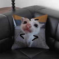 Juokinga Katė M-Meme Pagalvės užvalkalas Emoji Spausdinimo Pagalvės dėklas Abstraktaus Dizaino Namų Dekoras Svetainei Sofai Miegamajam Peach skin 50*50(CM)-1Pcs