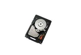 IBM 300GB SAS 2.5" vidinis kietasis diskas 10000 RPM 2.5"